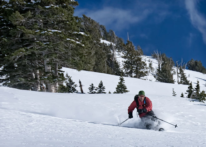 cabinrun